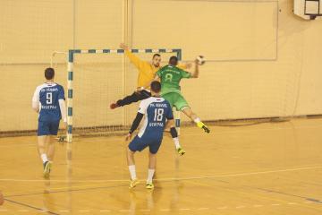 Sajt2 (3)